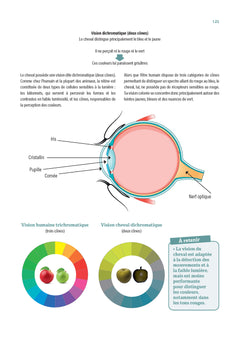 Guide d'équitation éthologique - Les savoirs 1 et 2 décryptés avec exercices détaillés
