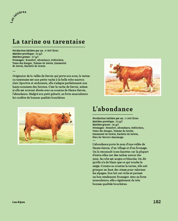 Le bon savoir du fromage