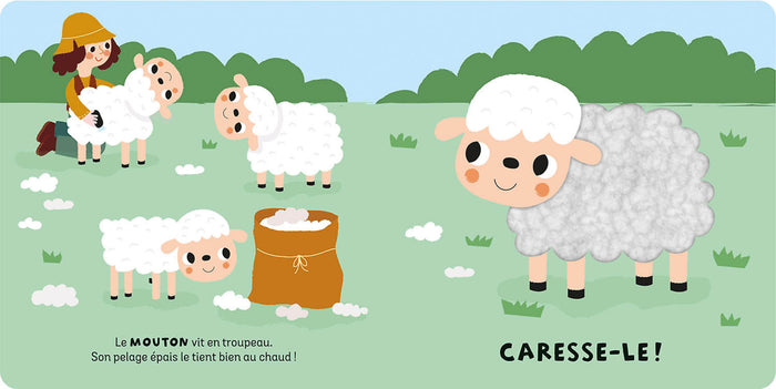 Coffret à toucher - Les animaux de la ferme