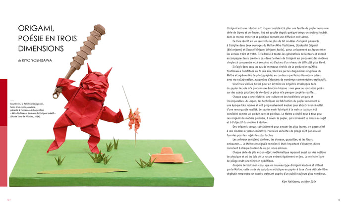 Origami d'exception