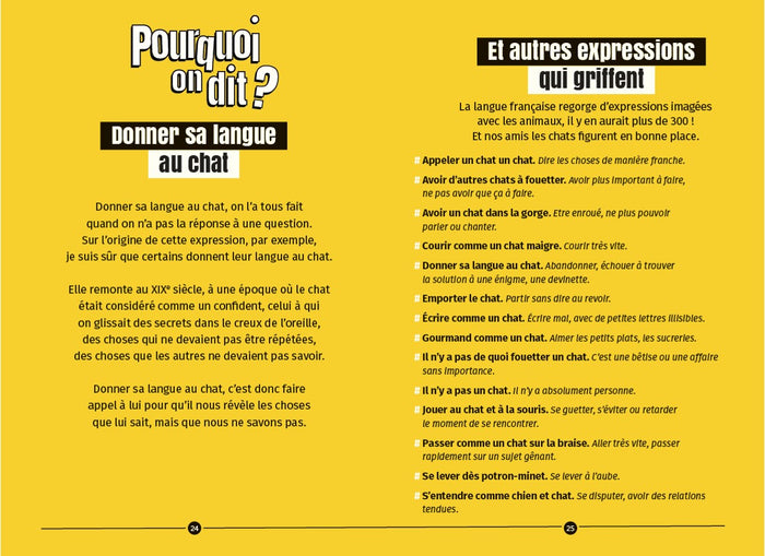 Dis Jamy- Pourquoi les chats n'aiment pas l'eau ?