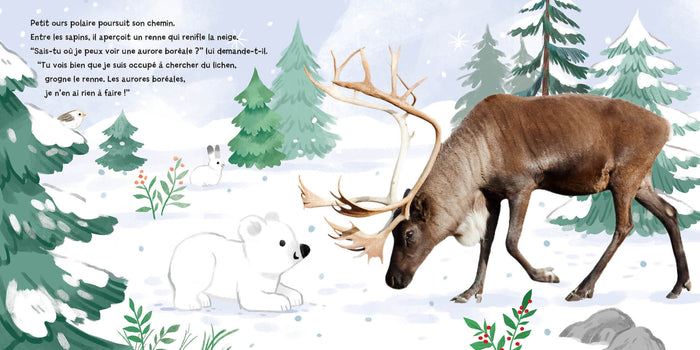 Une aurore boréale pour Petit Ours