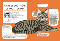 Être un chat - Petits secrets & grands pouvoirs