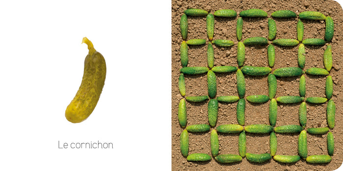 Ptit land art - Jardin