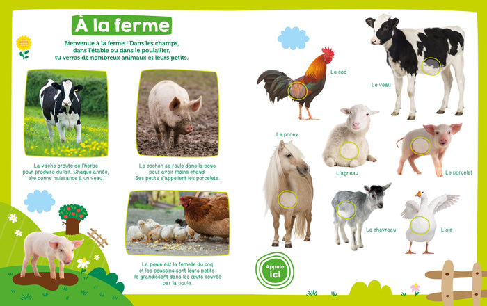 Mon imagier sonore - Les animaux