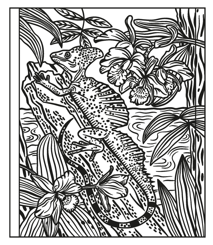 La forêt tropicale - La peinture magique