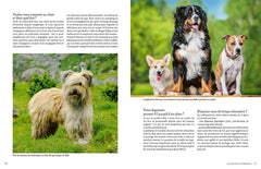 Adopter un chien en refuge