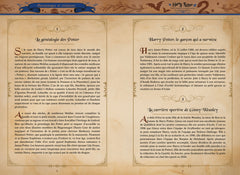 Le coffret du sorcier Harry Potter