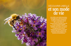 Installer un premier rucher