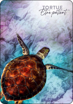 L'oracle du peuple des sages