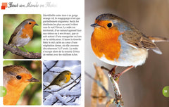 Les oiseaux