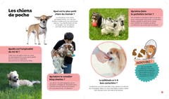 Tous les chiens
