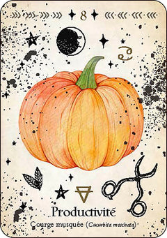 Oracle de la magie verte - Découvrez les vrais secrets de la magie botanique