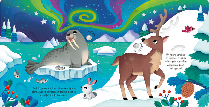 Les animaux sauvages