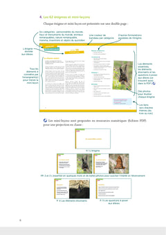 Une énigme par jour cycle 2