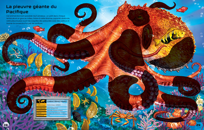 Construis tes animaux dangereux et tes animaux marins avec des autocollants