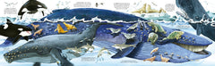 Mon grand livre des animaux marins