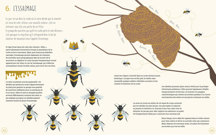 Le monde des abeilles