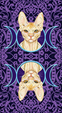 Coffret le tarot des chats païens