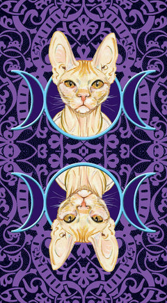 Coffret le tarot des chats païens