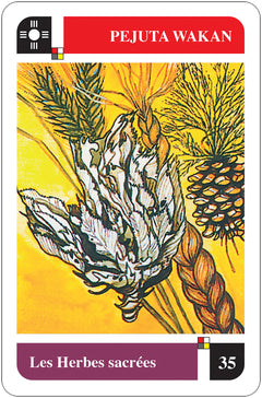 La divination chamanique sioux - Cartes Oracle