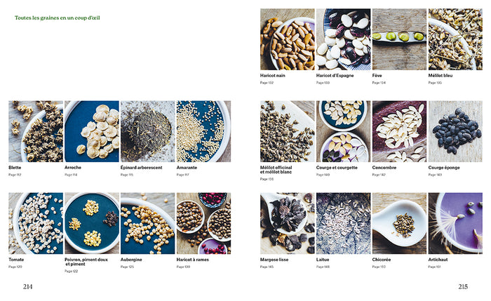 De la plante à la graine