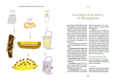 Cultiver ses champignons - En planche, en seau, sur bûche