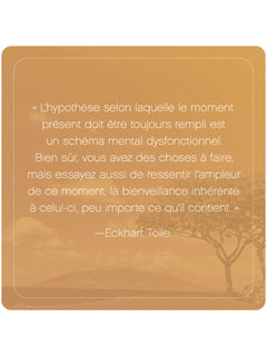 L'Appel du moment présent d'Eckhart Tolle - 52 cartes pour calmer l'esprit et vivre dans l'ici et maintenant