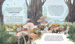 Un hiver en Arctique