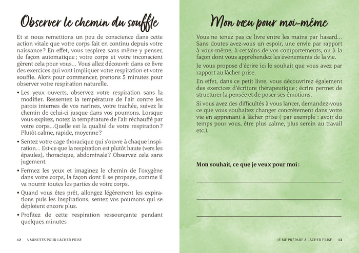Petit livre - 5 minutes... pour lâcher prise - Mon petit journal pour prendre du recul et retrouver mon harmonie