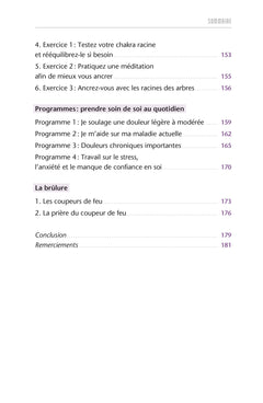Comment bien pratiquer l'automagnétisme - Manuel pratique pour soulager les douleurs physiques et émotionnelles