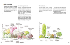 Créer un beau jardin-refuge pour les oiseaux