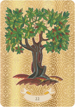 Coffret l'oracle doré de Nostradamus