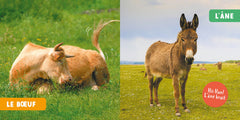 MON PREMIER DOC PHOTO - ANIMAUX DE LA FERME