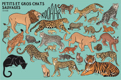 Beaucoup beaucoup d'animaux