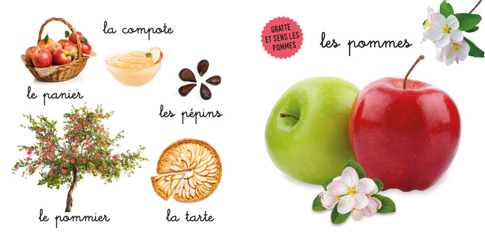 Mon bel imagier des odeurs - Les odeurs de fruits