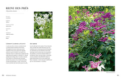 Un jardin comme un parfum