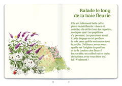 Le doryphore n'aime que les patates - 60 chroniques de végétaux, d'insectes et autres petites bestioles du jardin