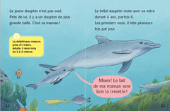 Les Docs de Lou - Tout sur les dauphins !