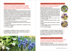 Les carnets du scarabée - Fleurs sauvages