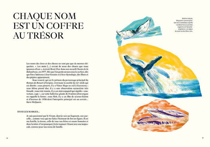 Nomen - L'origine des noms des espèces