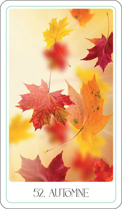 L'oracle des lumières