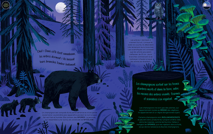 24 heures sur la Terre