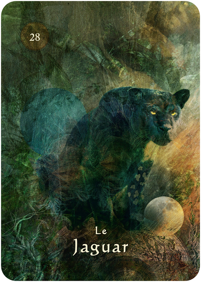 L'oracle pocket du chaman mystique