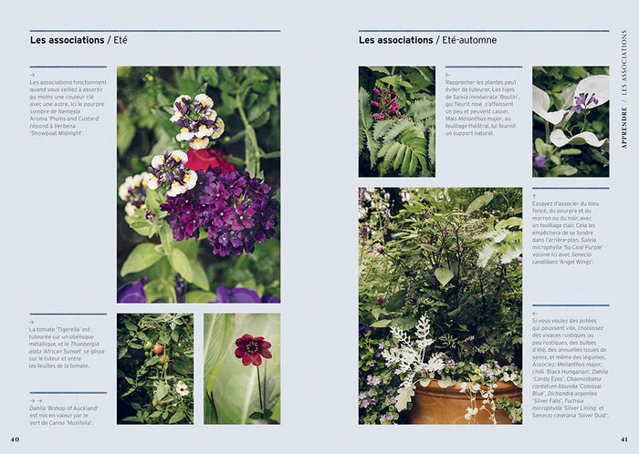 Cultiver en pots toute l'année