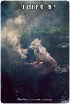 L'Oracle des chamanes Lumière