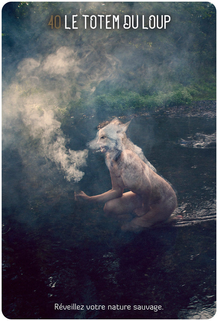 L'Oracle des chamanes Lumière