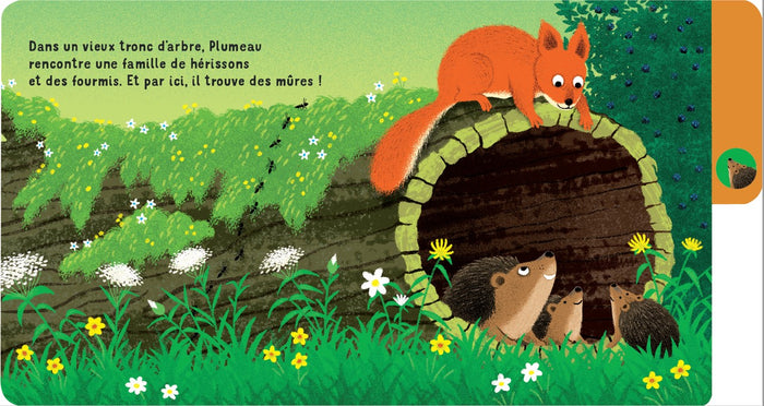 Une journée en forêt