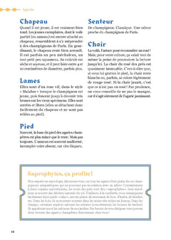 Comment trouver des champignons ?