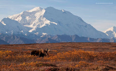 Les parcs nationaux américains